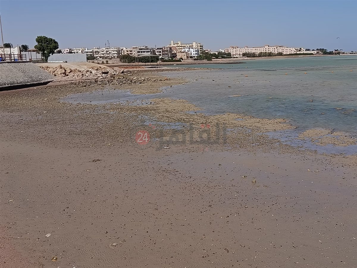 الجَزر على شواطئ الغردقة 