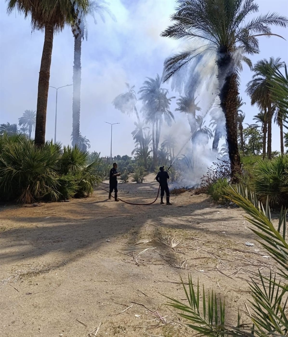 حريق بنخيل مبارك بالأقصر