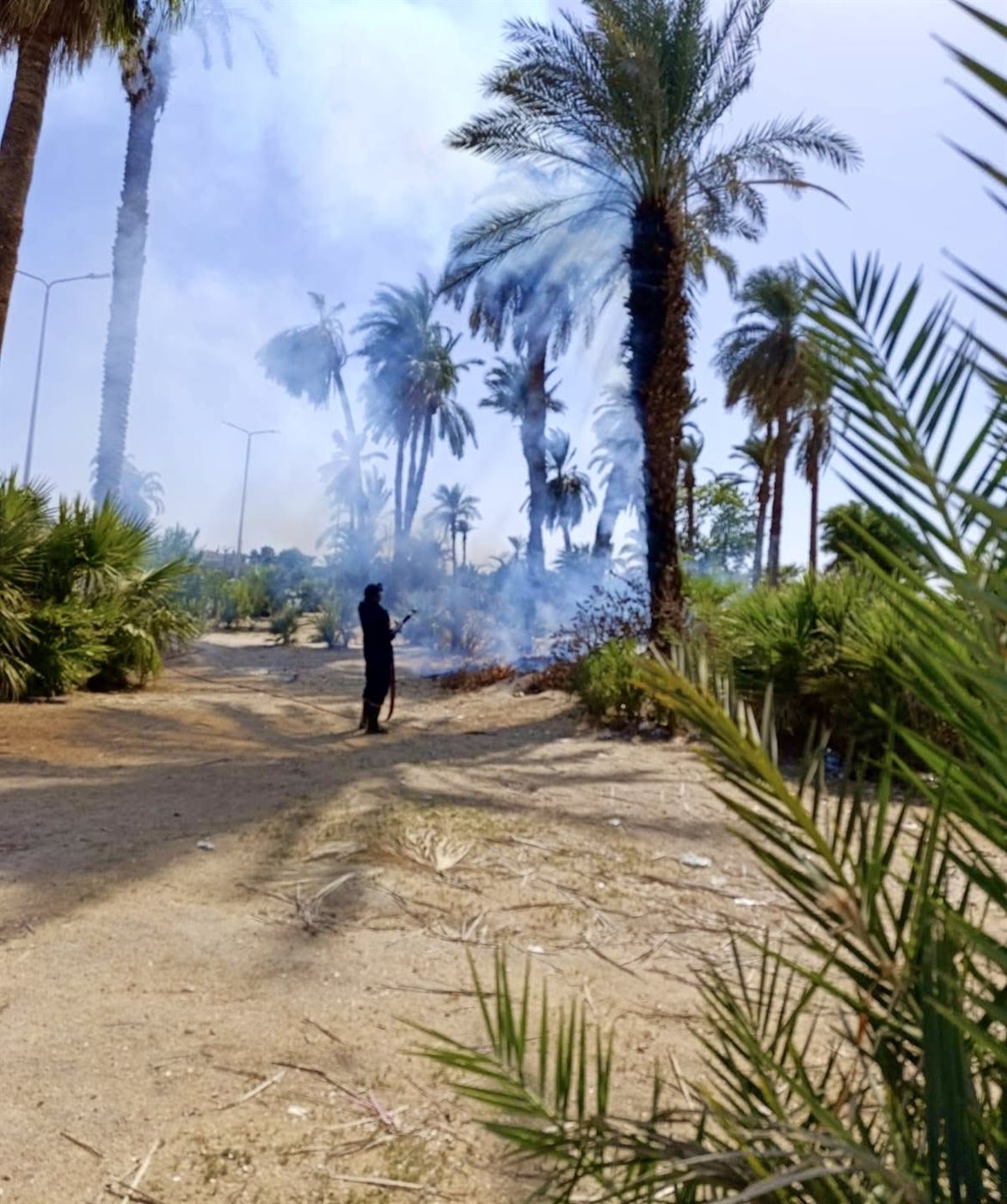 حريق بنخيل مبارك بالأقصر