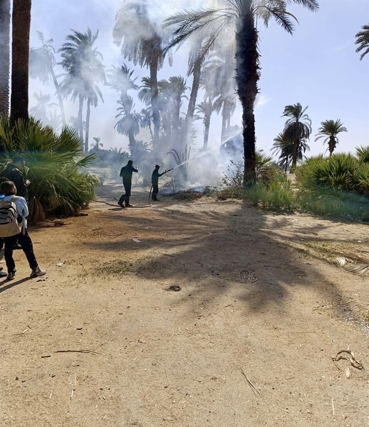 حريق بنخيل مبارك بالأقصر