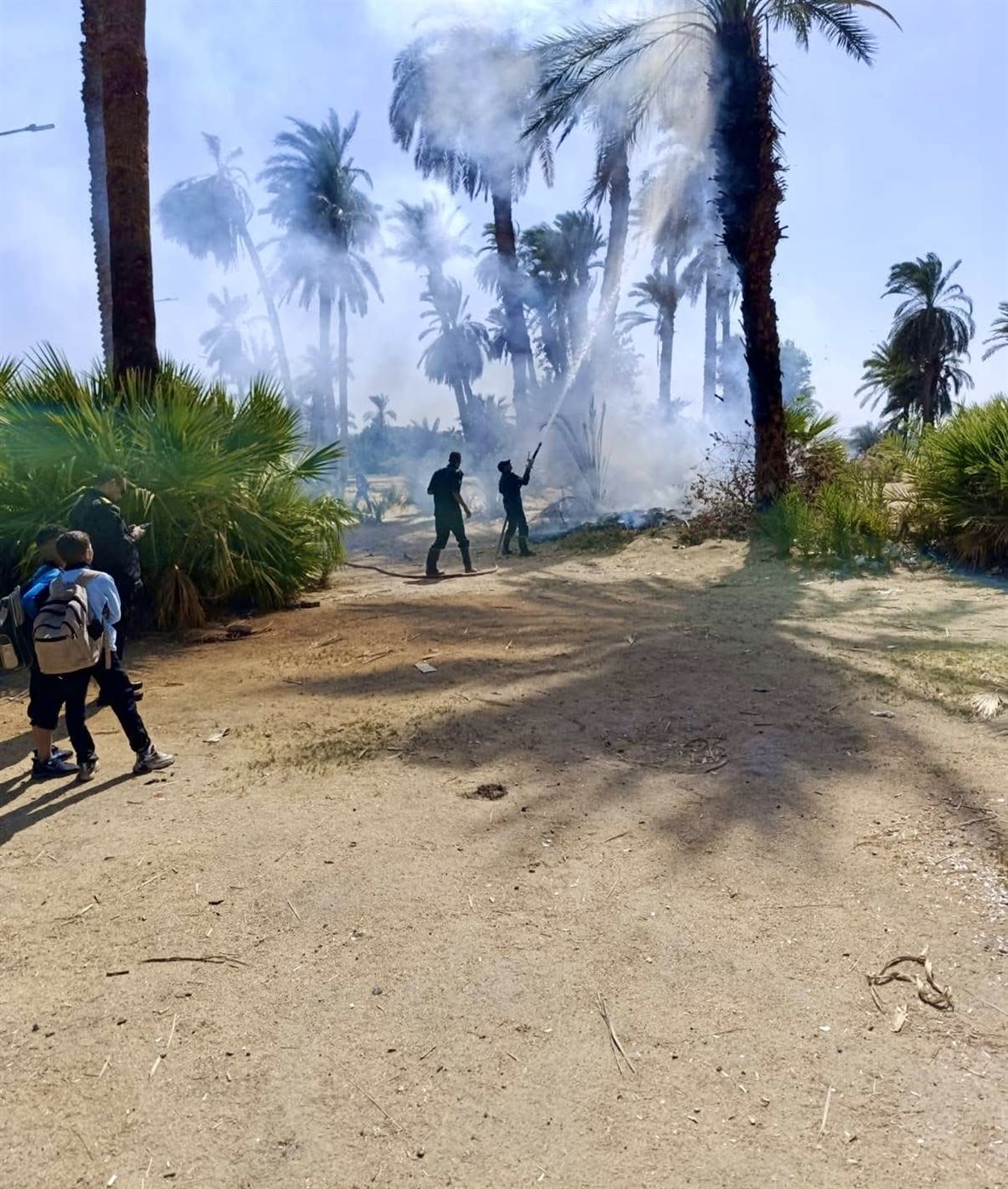 حريق بنخيل مبارك بالأقصر