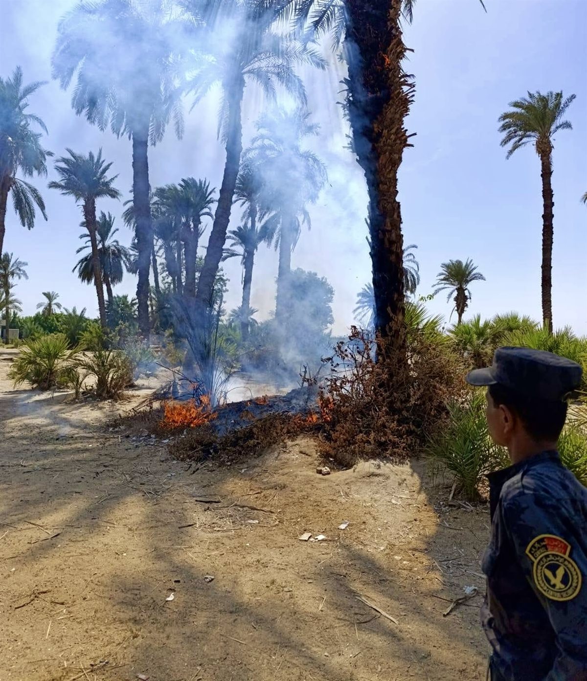 حريق بنخيل مبارك بالأقصر