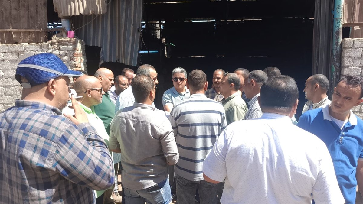 مشروع تطوير إسنا 