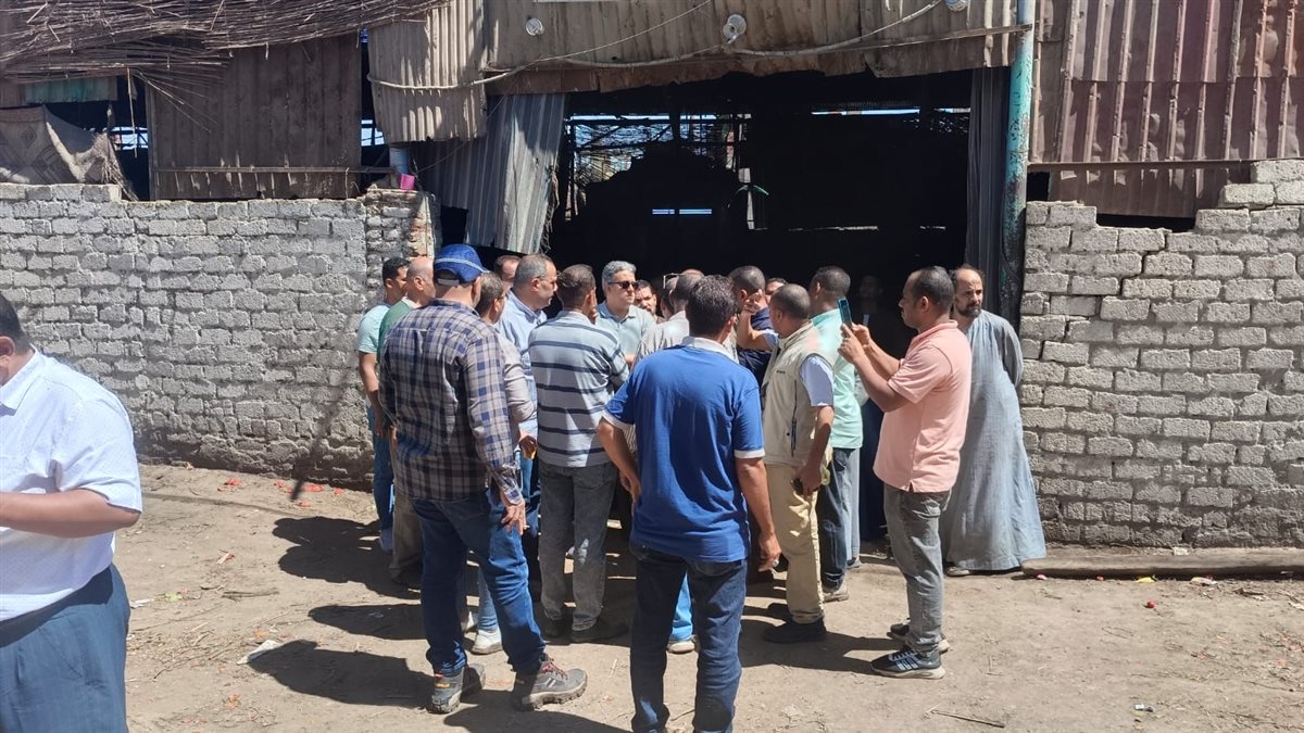 مشروع تطوير إسنا 