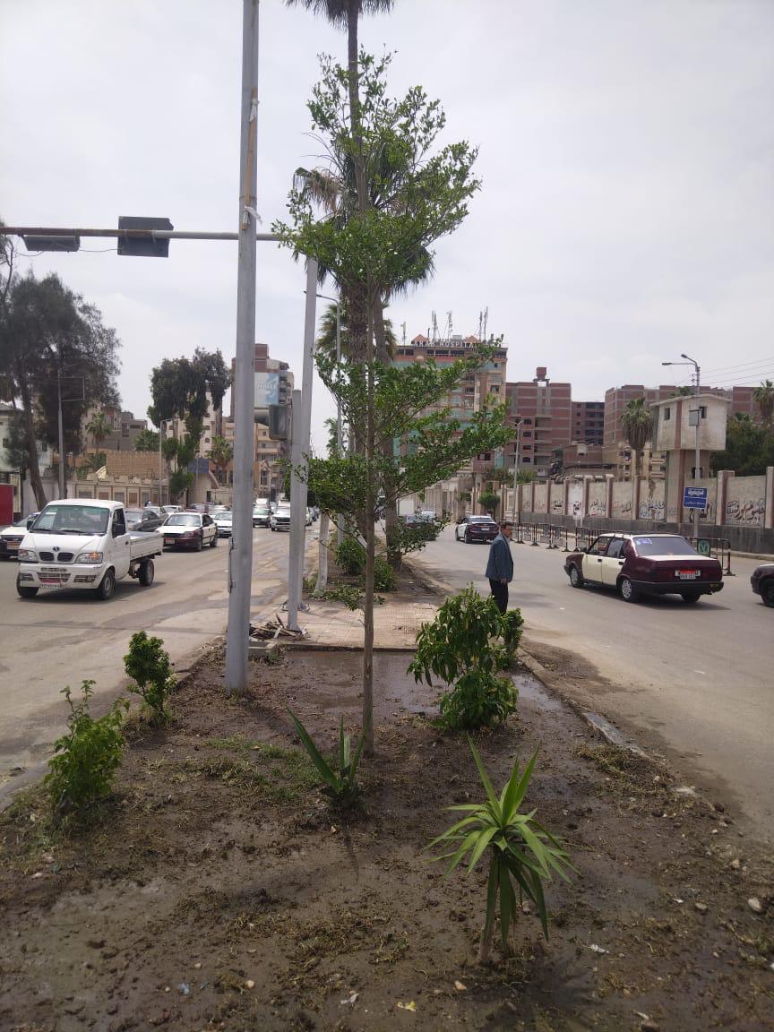 أعمال التشجير والتجميل 