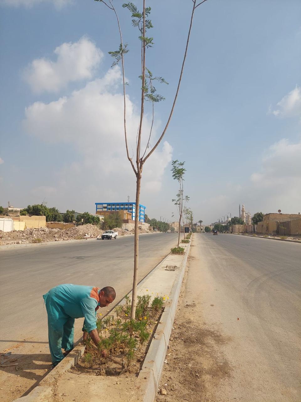 أعمال التشجير والتجميل 