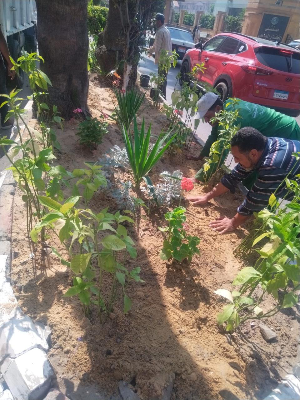 أعمال التشجير والتجميل 