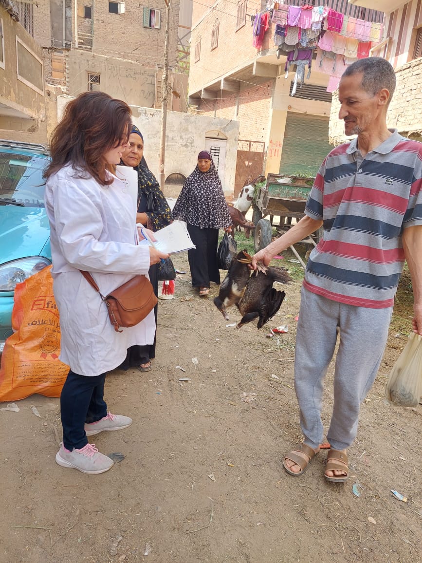 محافظ الفيوم : تحصين 25795 رأس ماشية ضد أمراض الحمى القلاعية والوادي المتصدع والجلد العقدي