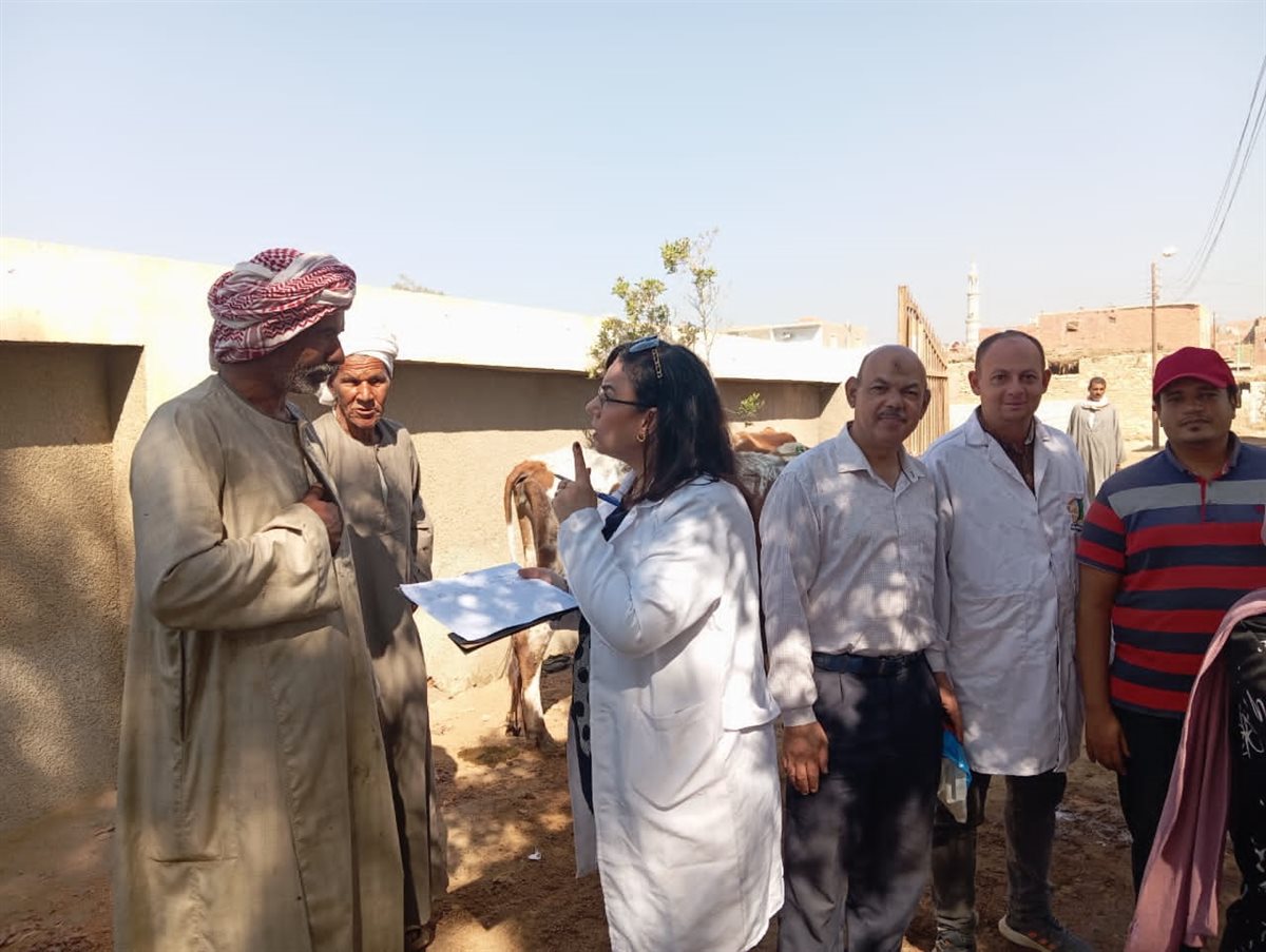 محافظ الفيوم : تحصين 25795 رأس ماشية ضد أمراض الحمى القلاعية والوادي المتصدع والجلد العقدي