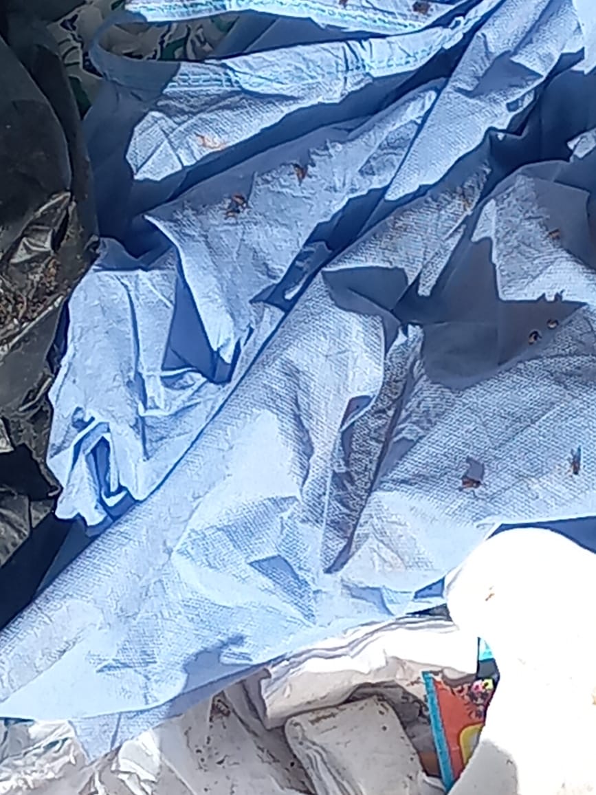 تحرك عاجل لصحة الأقصر استجابة للقاهرة 24