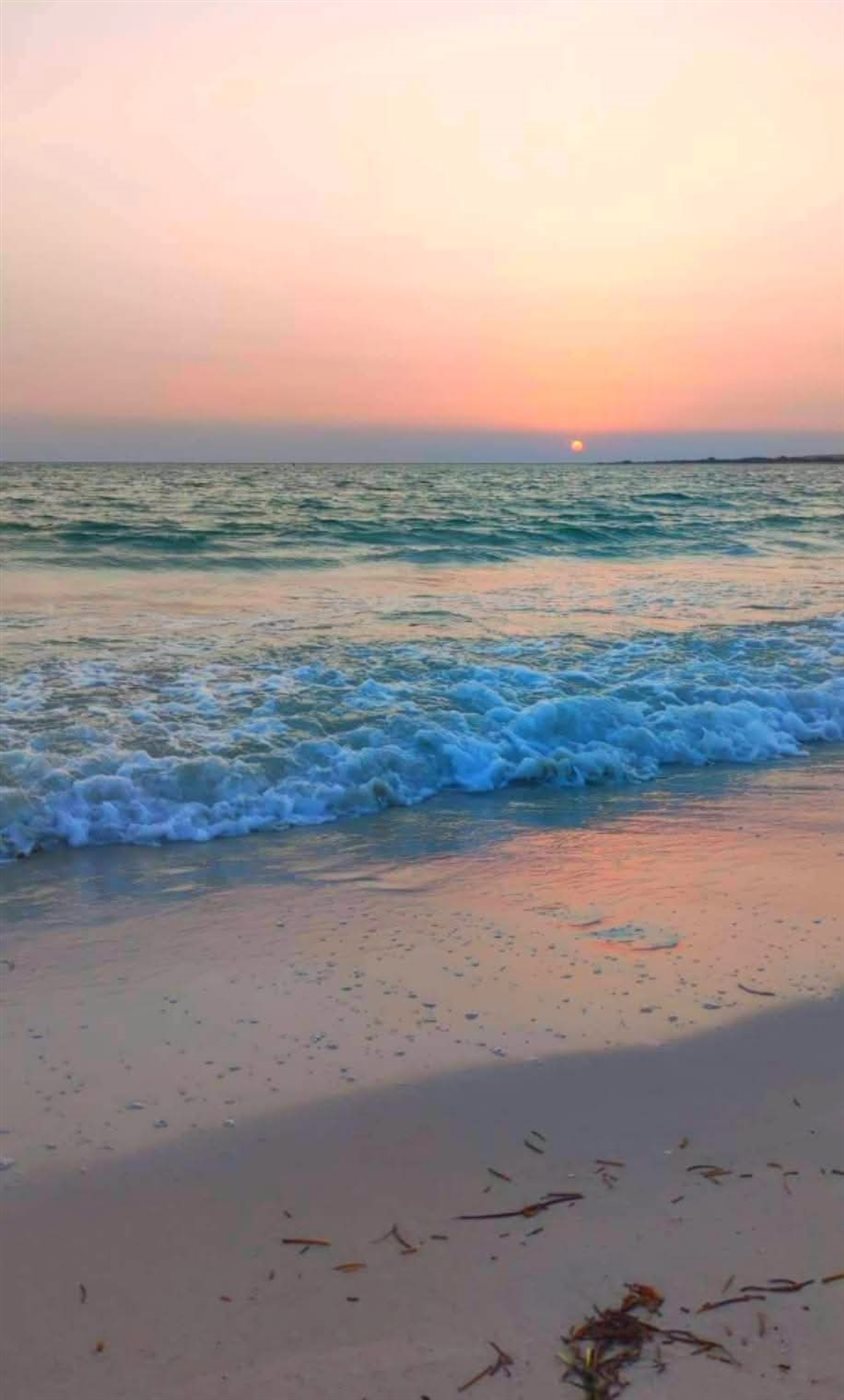 رأس راية ريفيرا مصر الحديثة