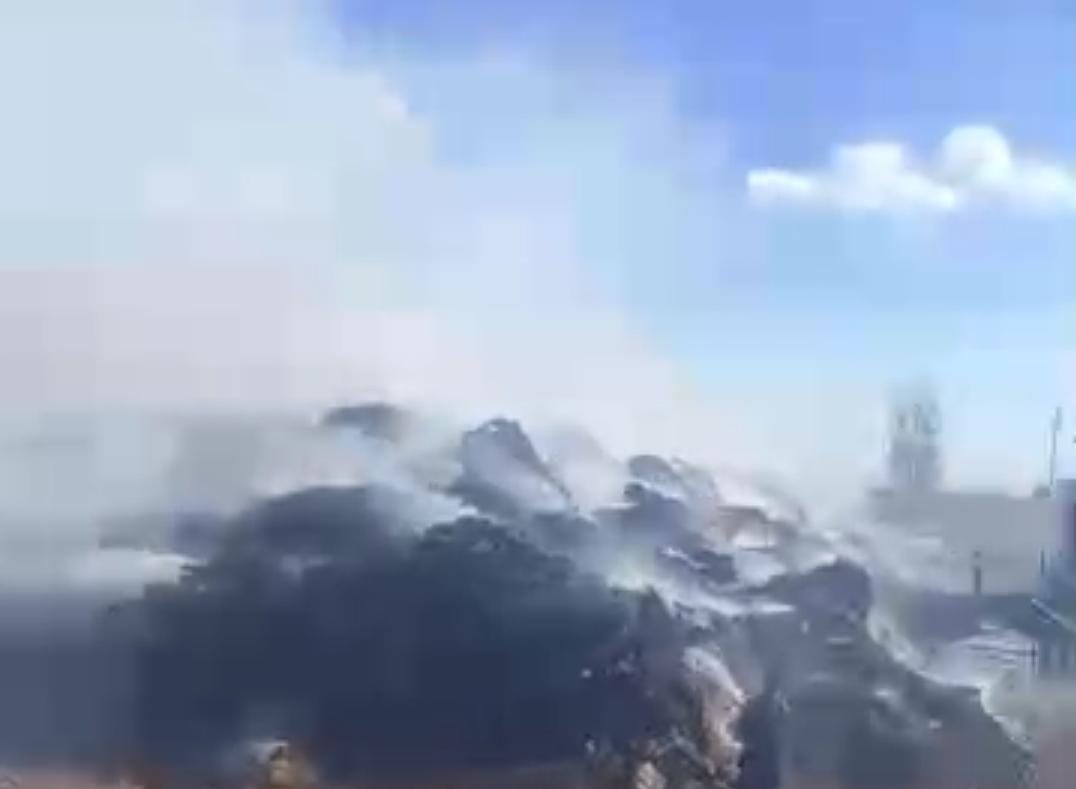 حريق قش الأرز بكفر الشيخ 