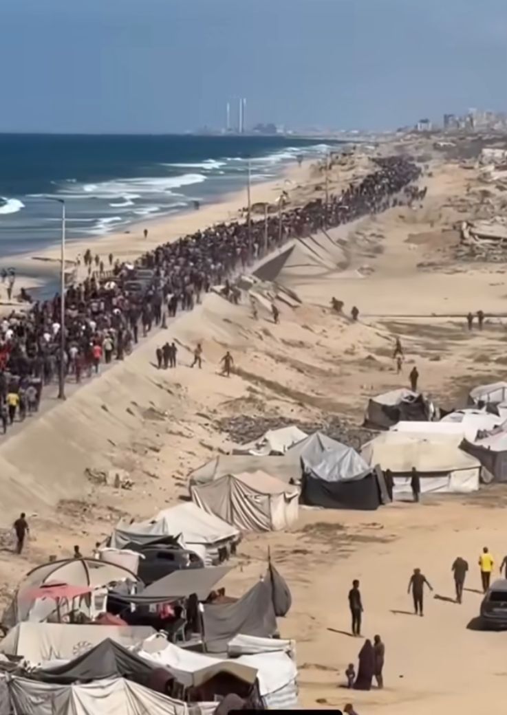 أهالي غزة بطريق الرشيد 