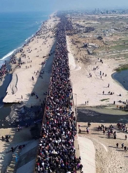 أهالي غزة بطريق الرشيد 