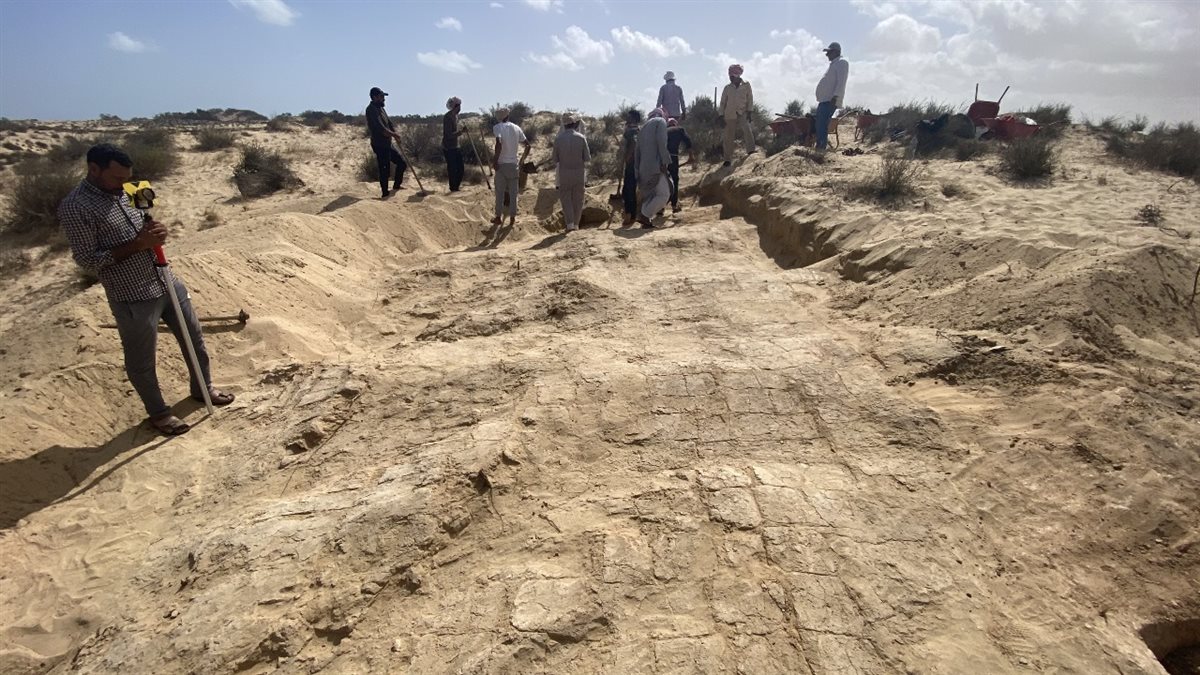 أبطال البعثة الأثرية يكتبون صفحة جديدة في تاريخ سيناء