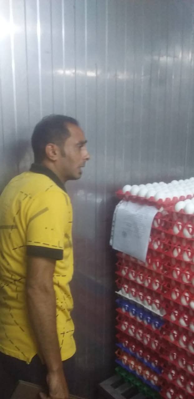 حملة تفتيشية على فنادق الغردقة 