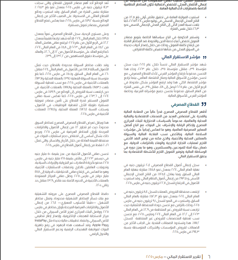 تقرير الاستقرار المالي - مارس 2025