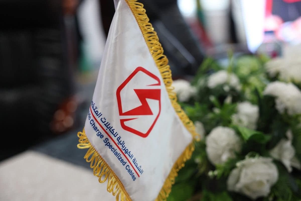 شركة الشحنة الكهربائية