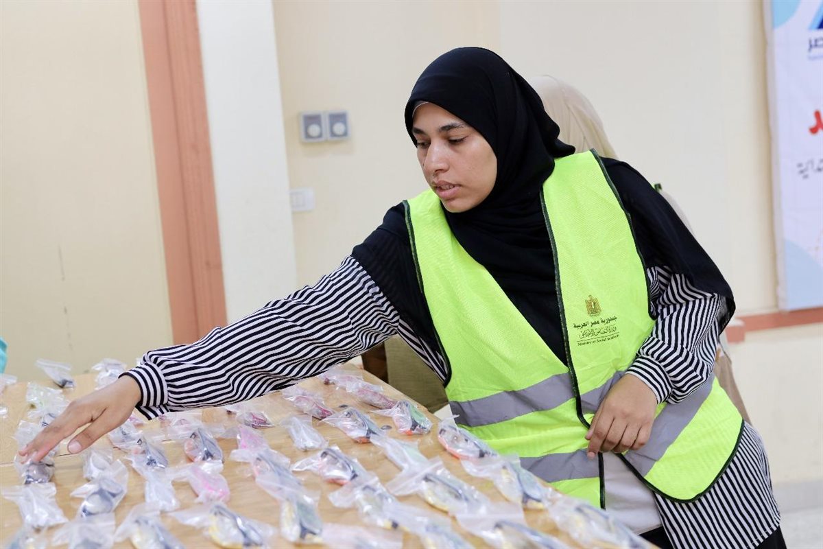 جانب من الحملة 