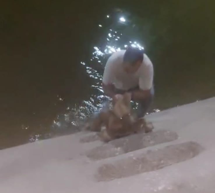 شاب ينقذ كلبا بأحد الترع في الأقصر