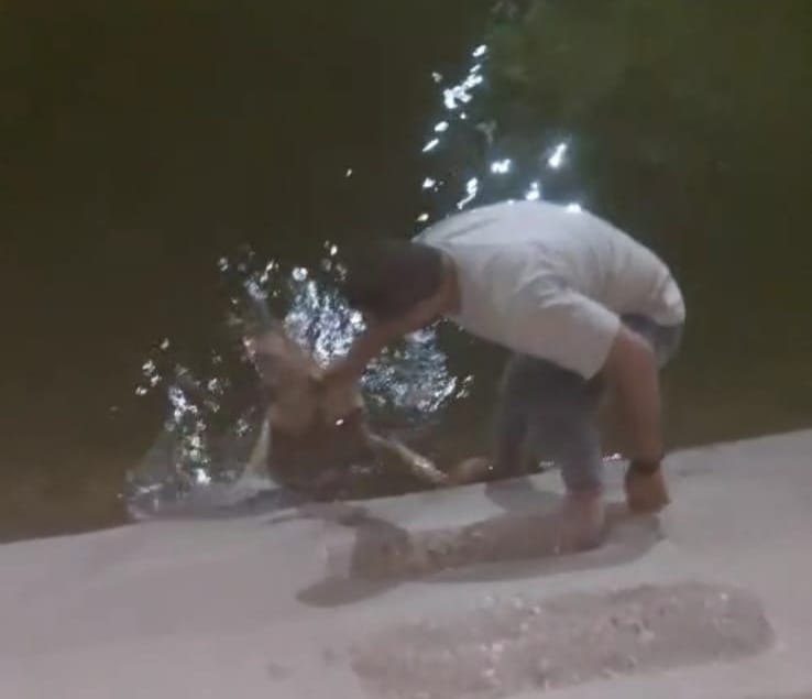 شاب ينقذ كلبا بأحد الترع في الأقصر