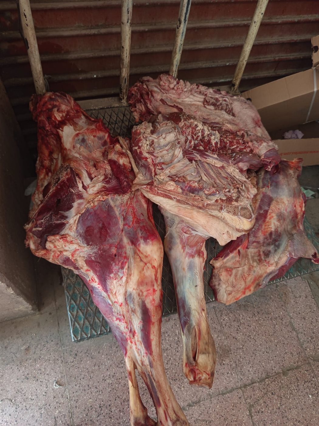 ضبط لحوم بأختام مزورة بالأقصر 