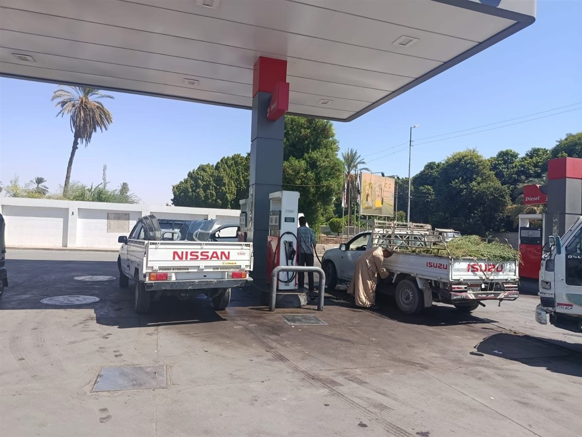 حملات تموينية في الأقصر 