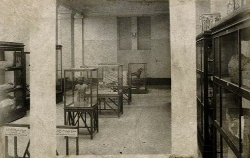 صور تحكي أولى أيام توت عنخ آمون في متحف التحرير