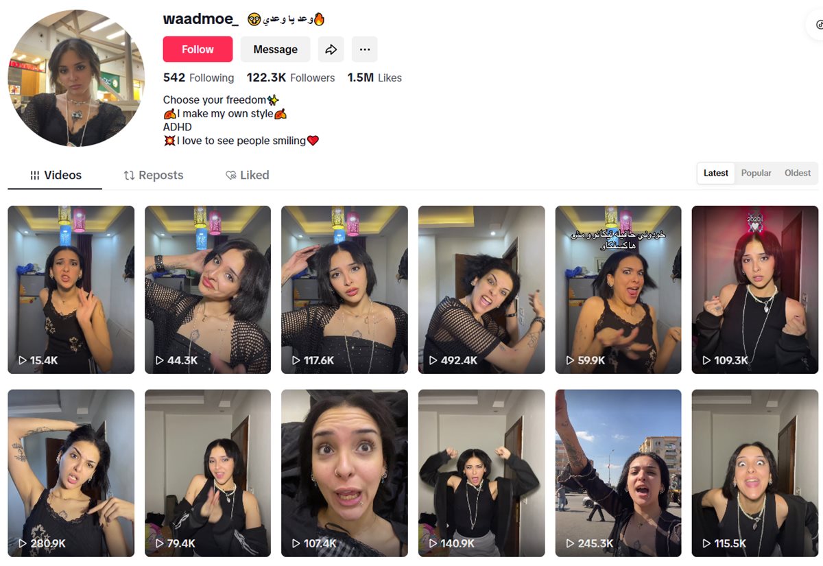 حساب وعد على تيك توك&nbsp;