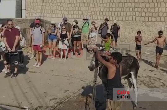 استياء وسط السائحين بأسوان بعد رصد تردي حالة مرسى شهير بالكورنيش