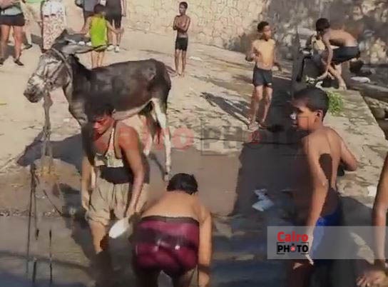 استياء وسط السائحين بأسوان بعد رصد تردي حالة مرسى شهير بالكورنيش