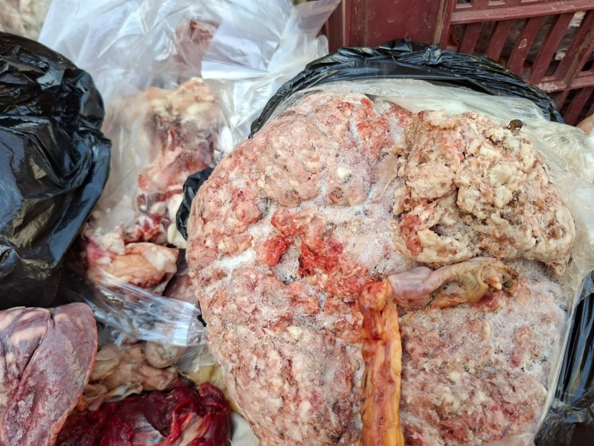 جانب من الحملة 