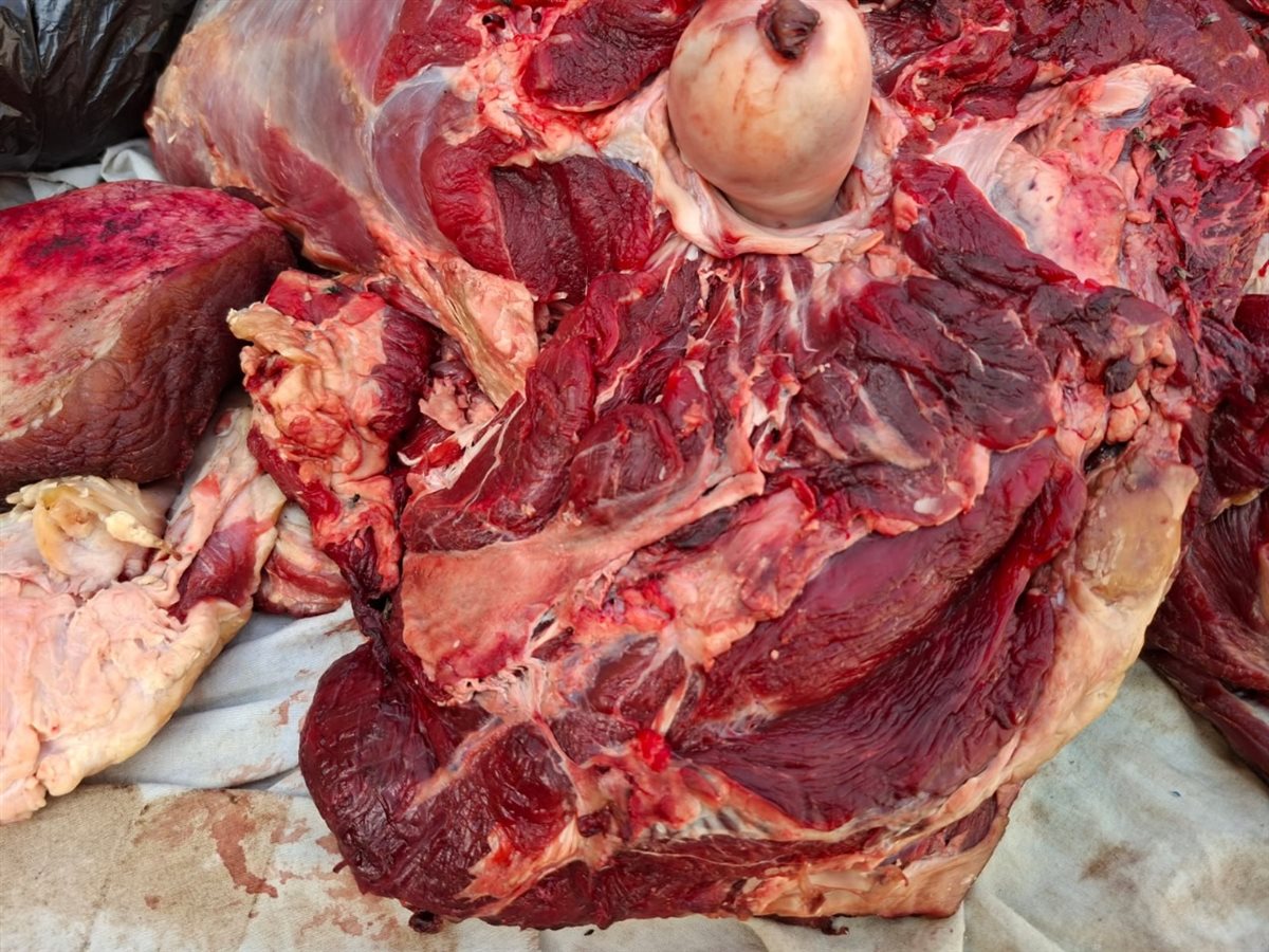 جانب من الحملة 