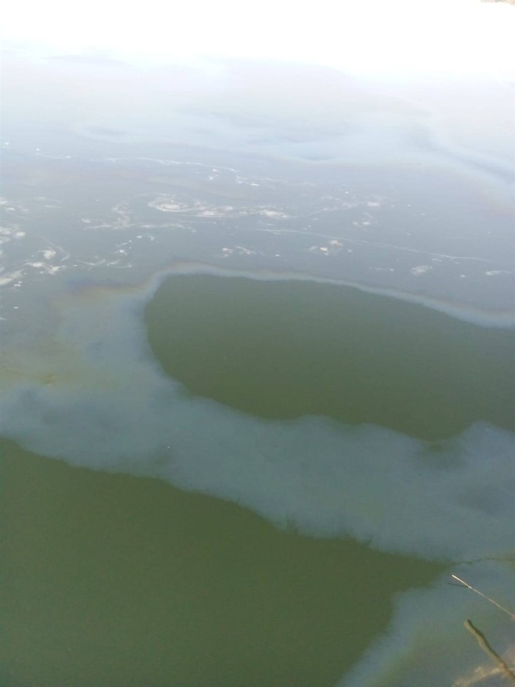 ظهور بقعة زيت بنيل الاقصر 