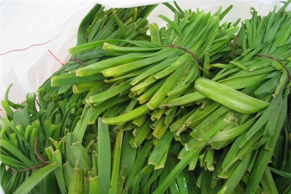 نقص فيتامين د