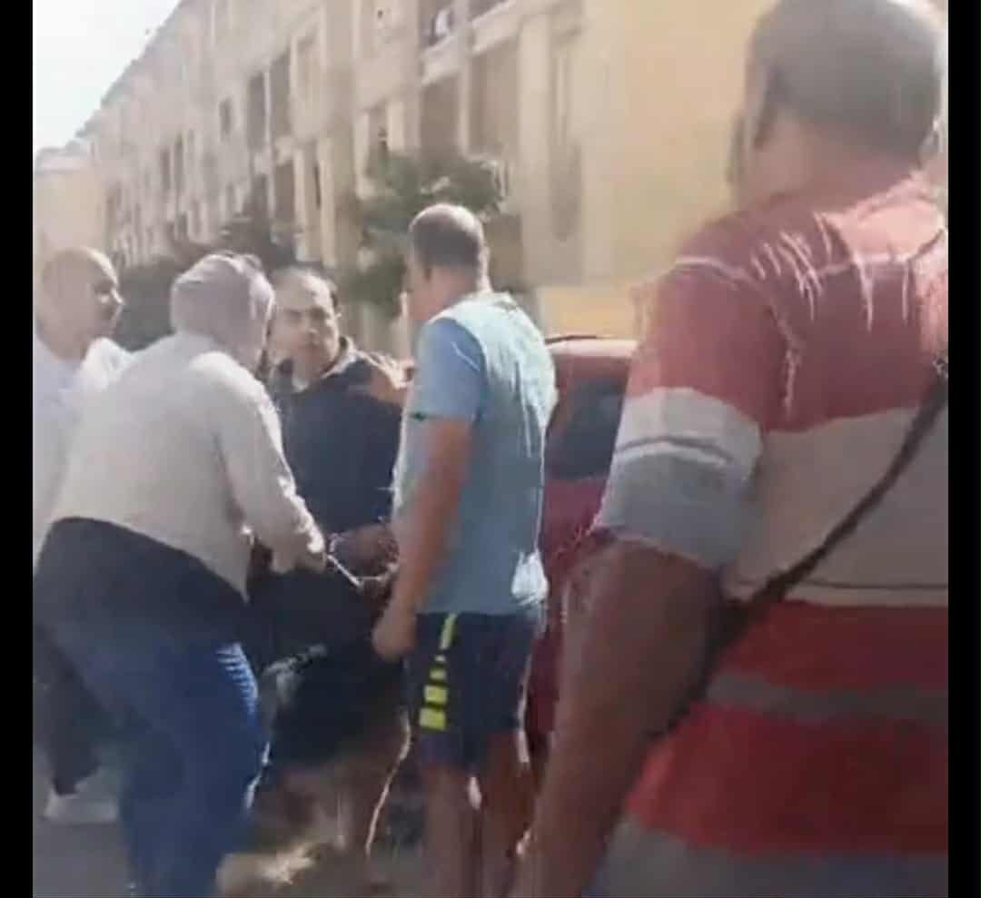 سائق سيارة أطفال مدرسة يتعرض لاعتداء بصاعق كهربائي وكلب في أكتوبر