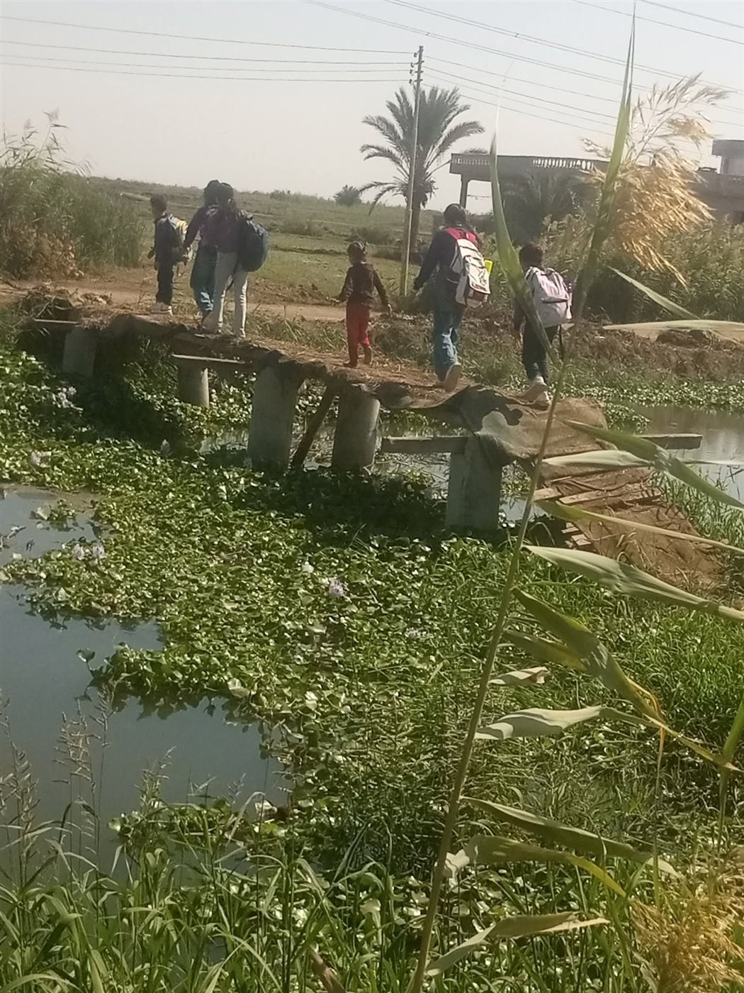 كوبري قرية عايد ببورسعيد 