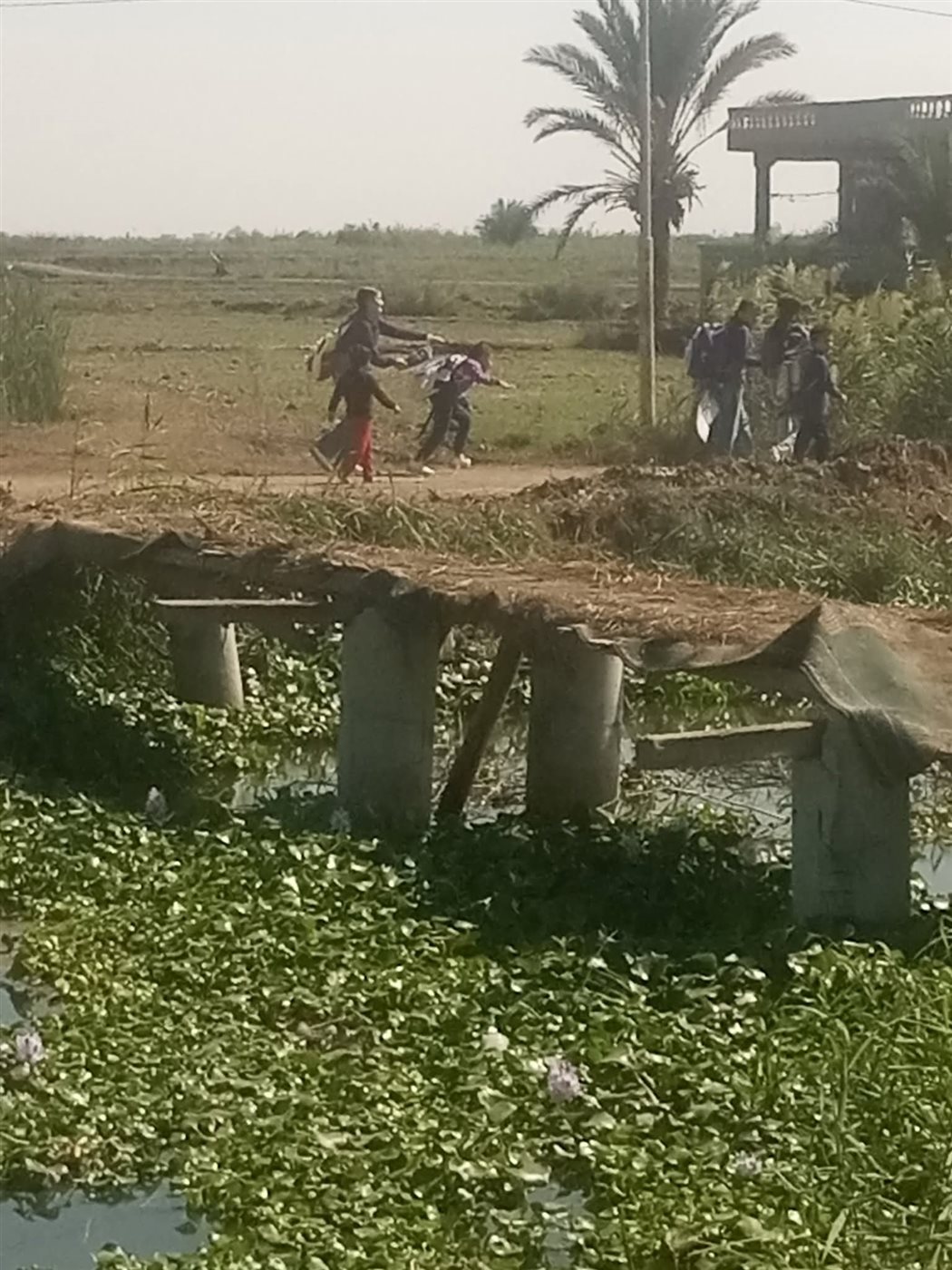 كوبري قرية عايد ببورسعيد 