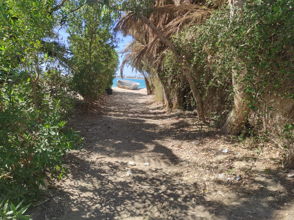 نظافة منطقة شاطئ الكيلاني بطور سيناء 