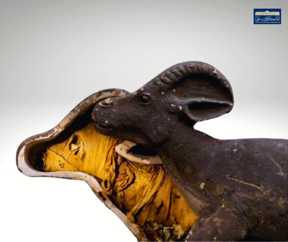 &nbsp;الغزالة المحنطة