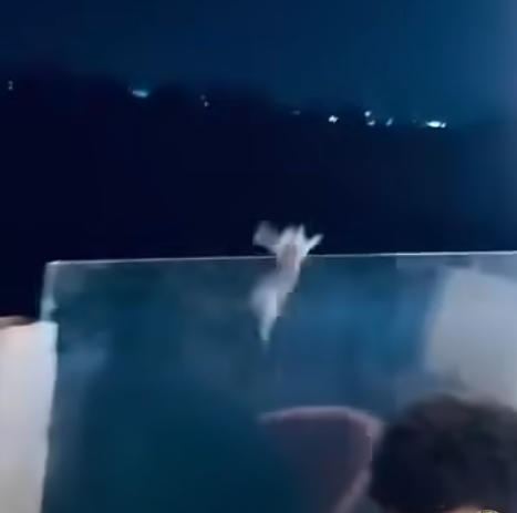 فيديو الواقعة