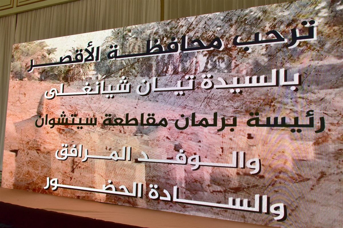 محافظ الأقصر والوفد الصيني&nbsp;