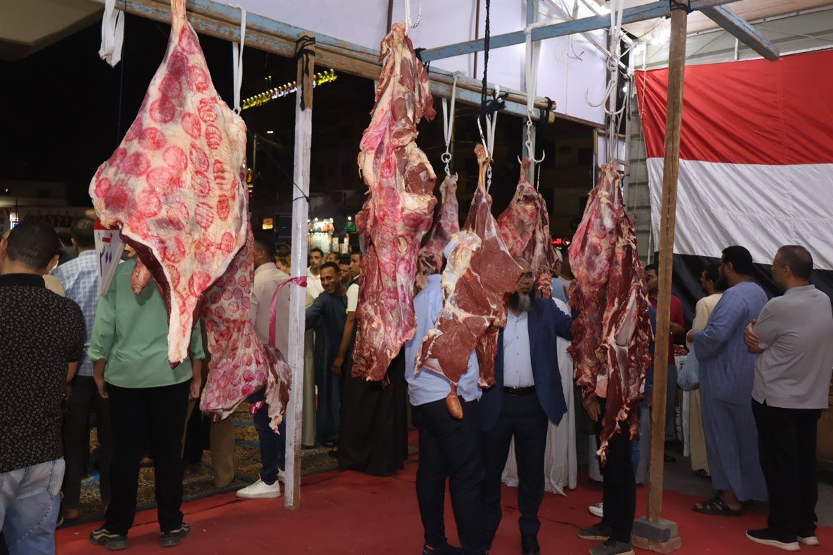 معارض الغرفة التجارية بسوهاج