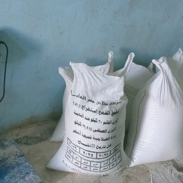 ضبط دقيق مدعم بالأقصر 