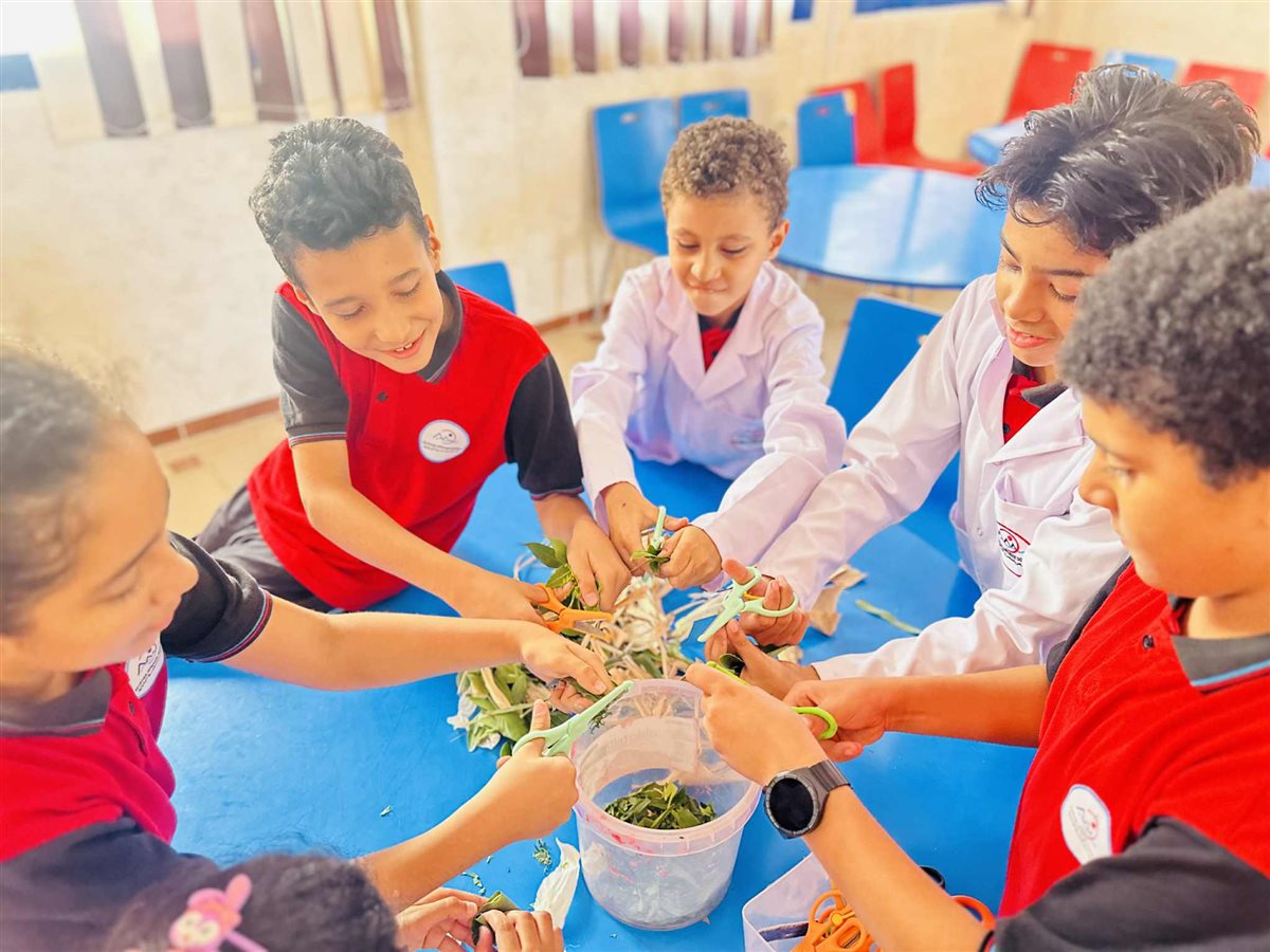 طلاب المدرسة اليابانية بشرم الشيخ 