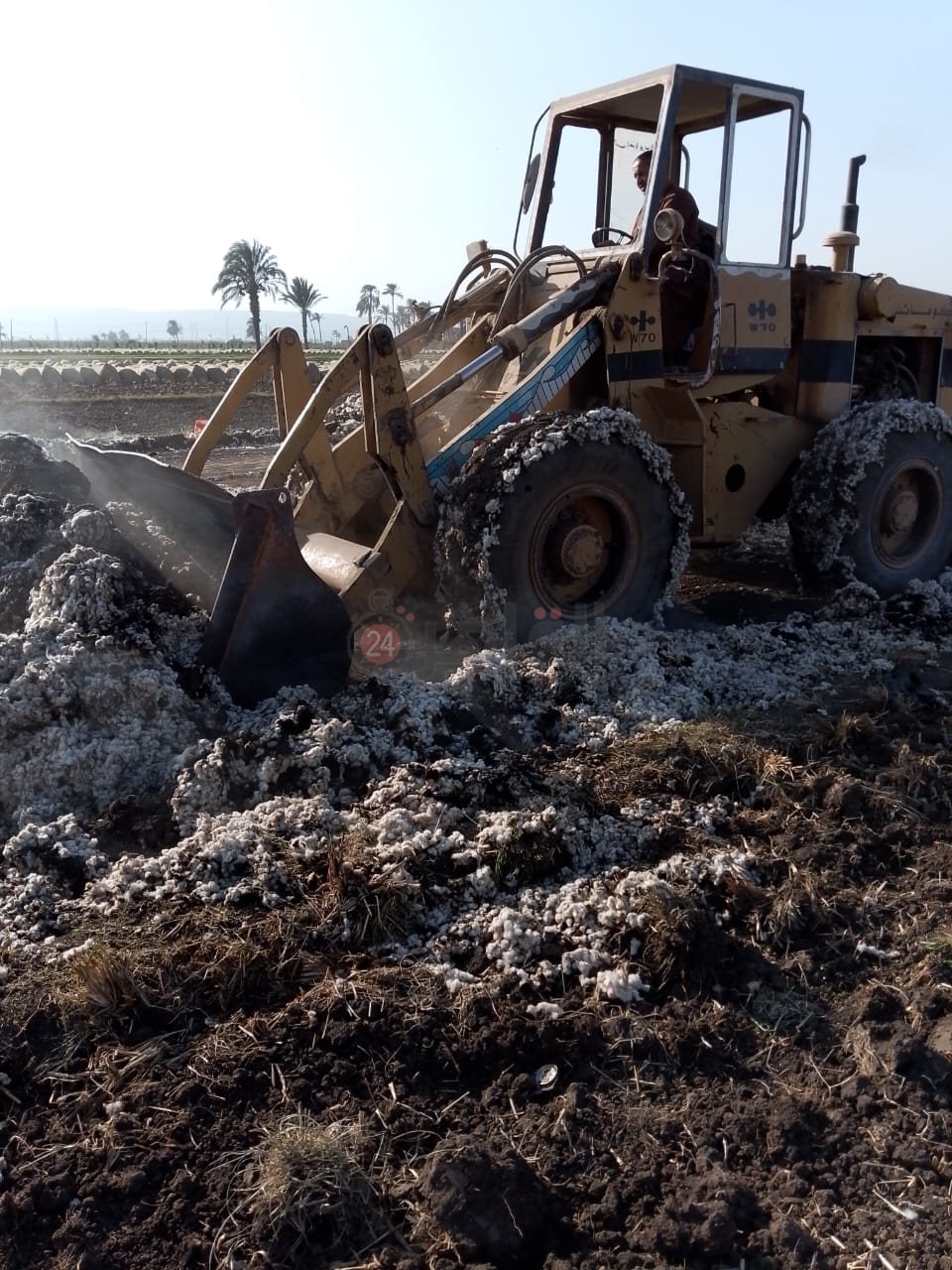 حريق بشونة قطن بأسيوط 