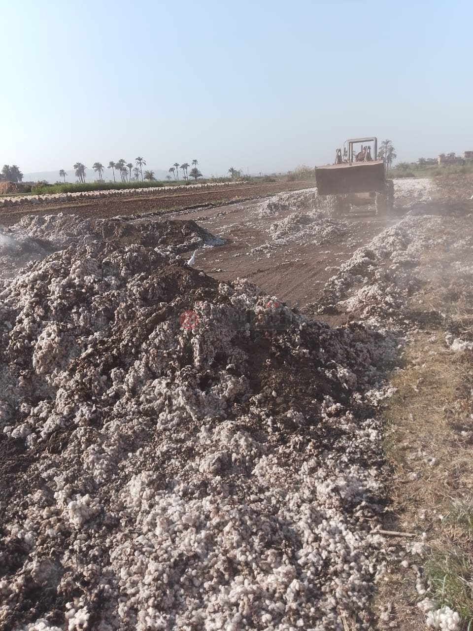 حريق بشونة قطن بأسيوط 