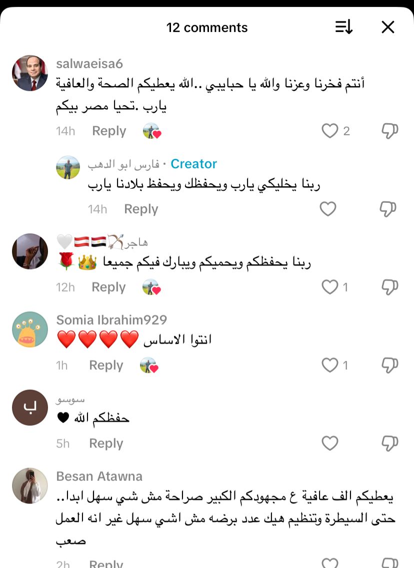 تفاعل المصريين مع فيديو عمال المتحف المصري الكبير