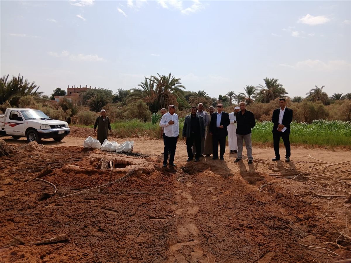 نقل رفات ٨٥٠٠ جثمان بالوادى الجديد