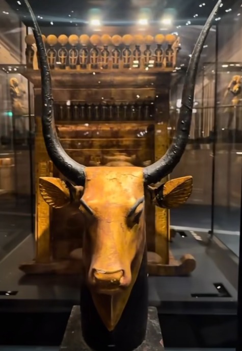 آثار توت عنخ آمون تتألق في قاعتها الجديدة بالمتحف المصري الكبير